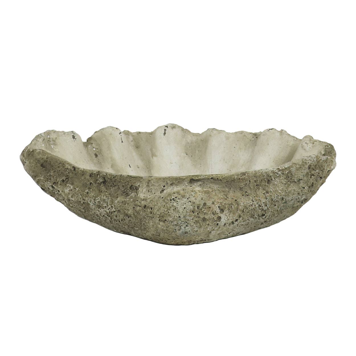 Cast Concrete Clam Shell