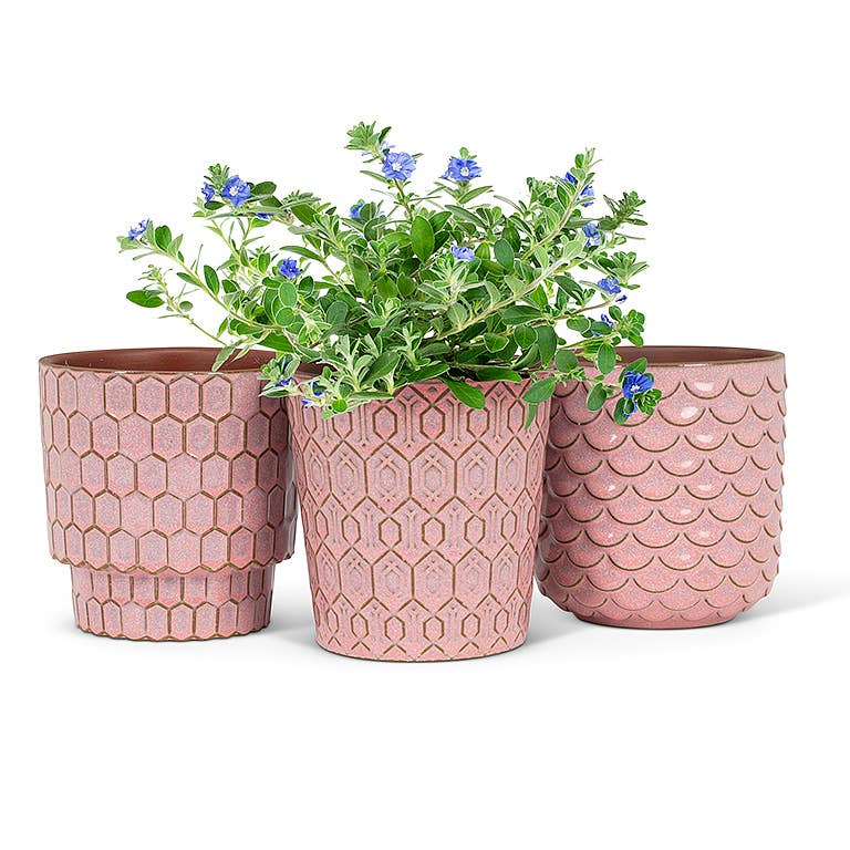 Sm Textured Planters-3Asst-Pnk-4"H