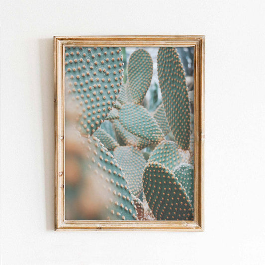 Rough Cactus Closeup Art Print