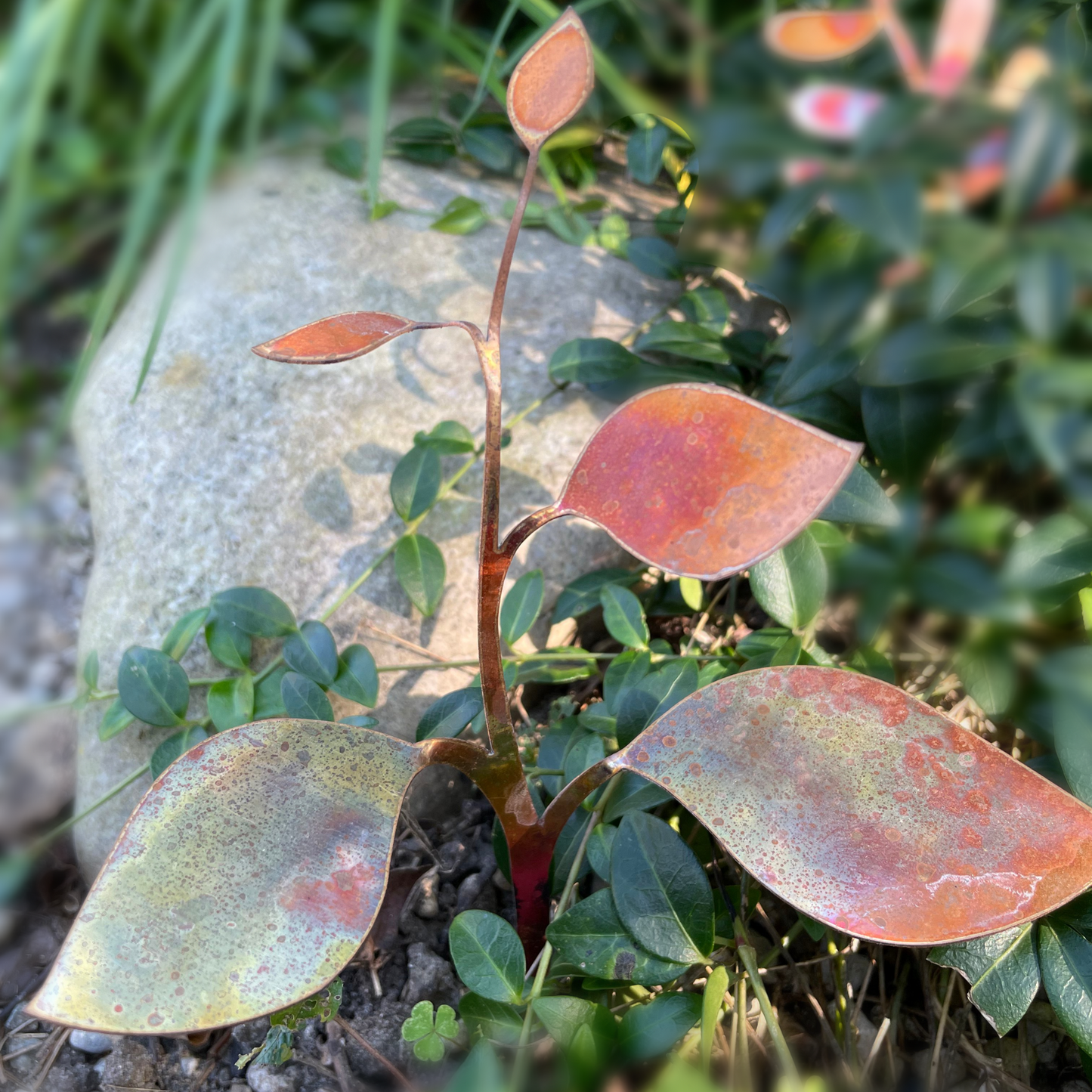 Copper Leaves