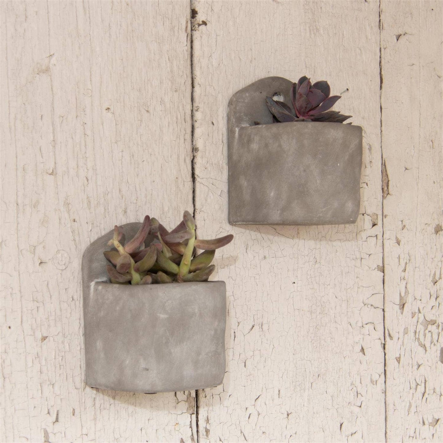 Cement Planter - Hangable Or Tabletop (Pk/02)