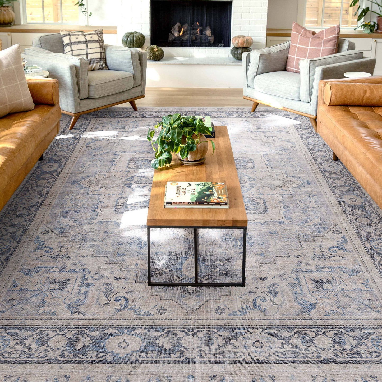 Tirana Vintage Medallion Oriental Flat-Weave Rug