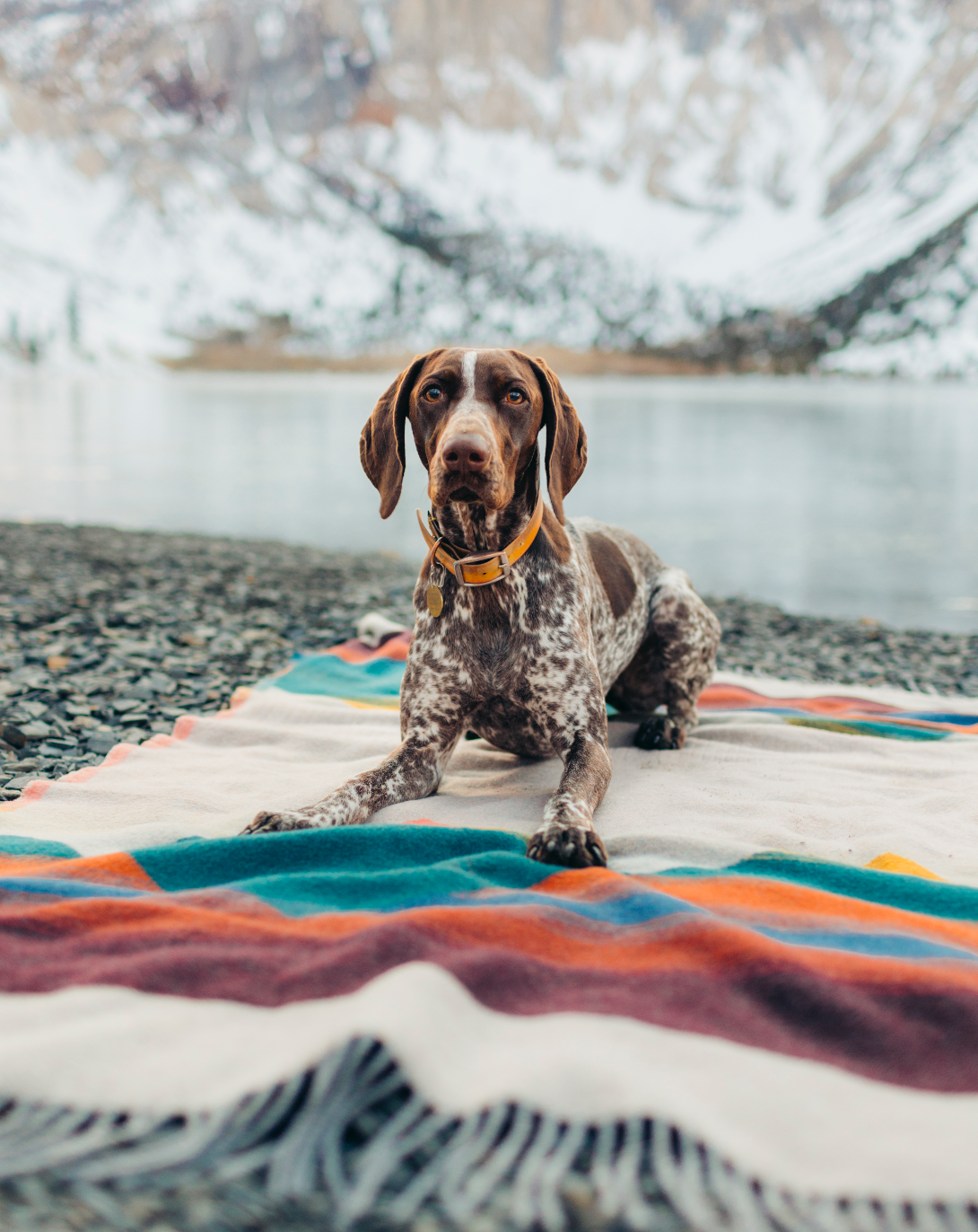 Sakcloth & Ashes Wool Blanket Mountain Tropic