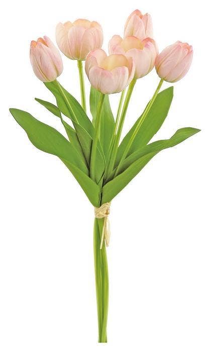 Mixed Small Tulip Bundle X6, Pink/Green