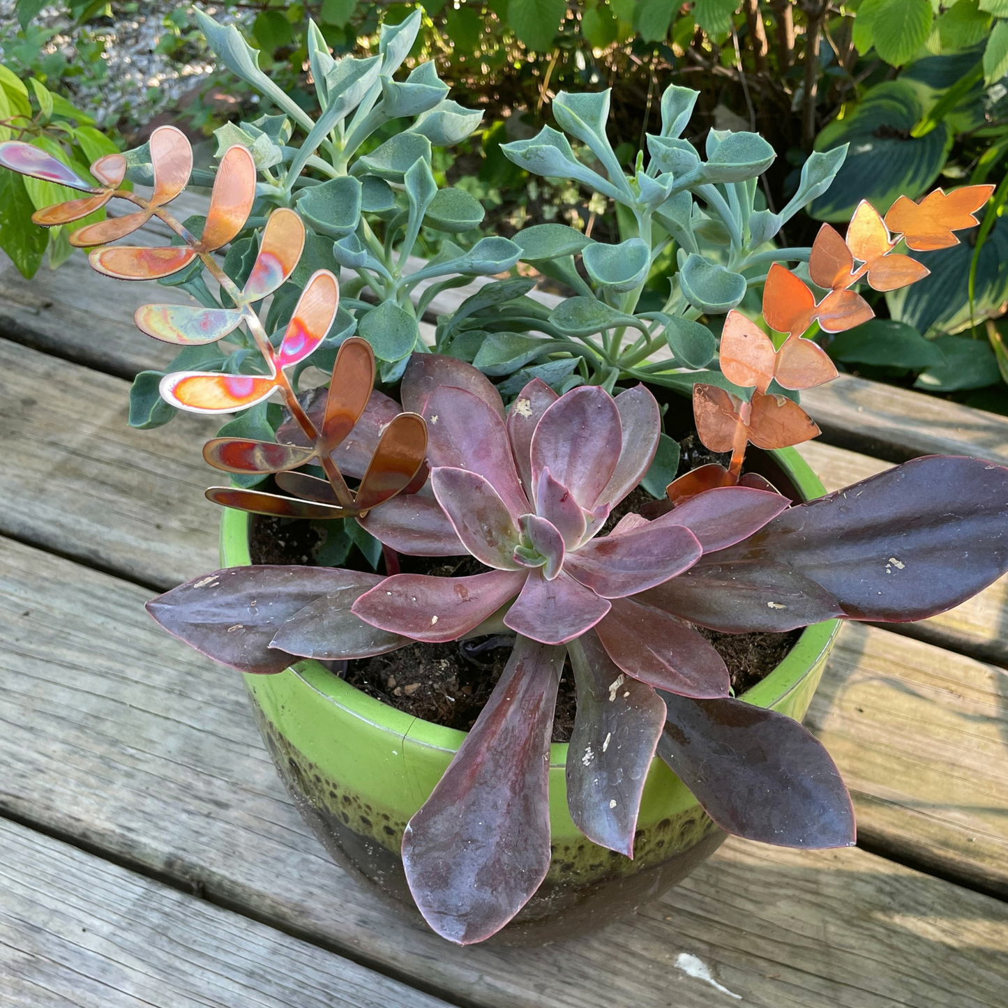 Medium Copper Fern Frond (teardrop)